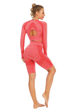 Charger l&#39;image dans la galerie, Seamless gym wear &amp; yoga set
